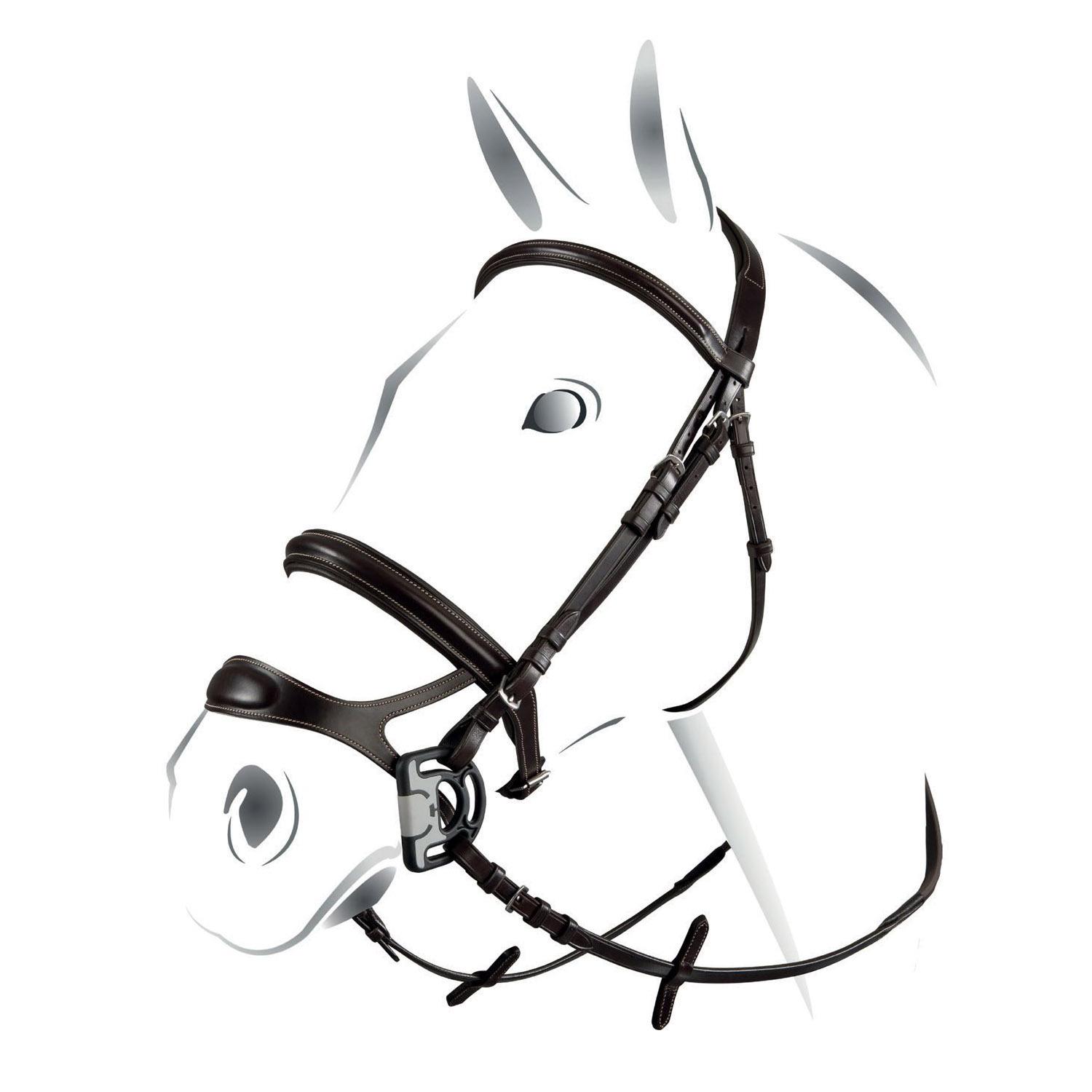 product/e/q/equestro_br00695-black_black_1.jpg