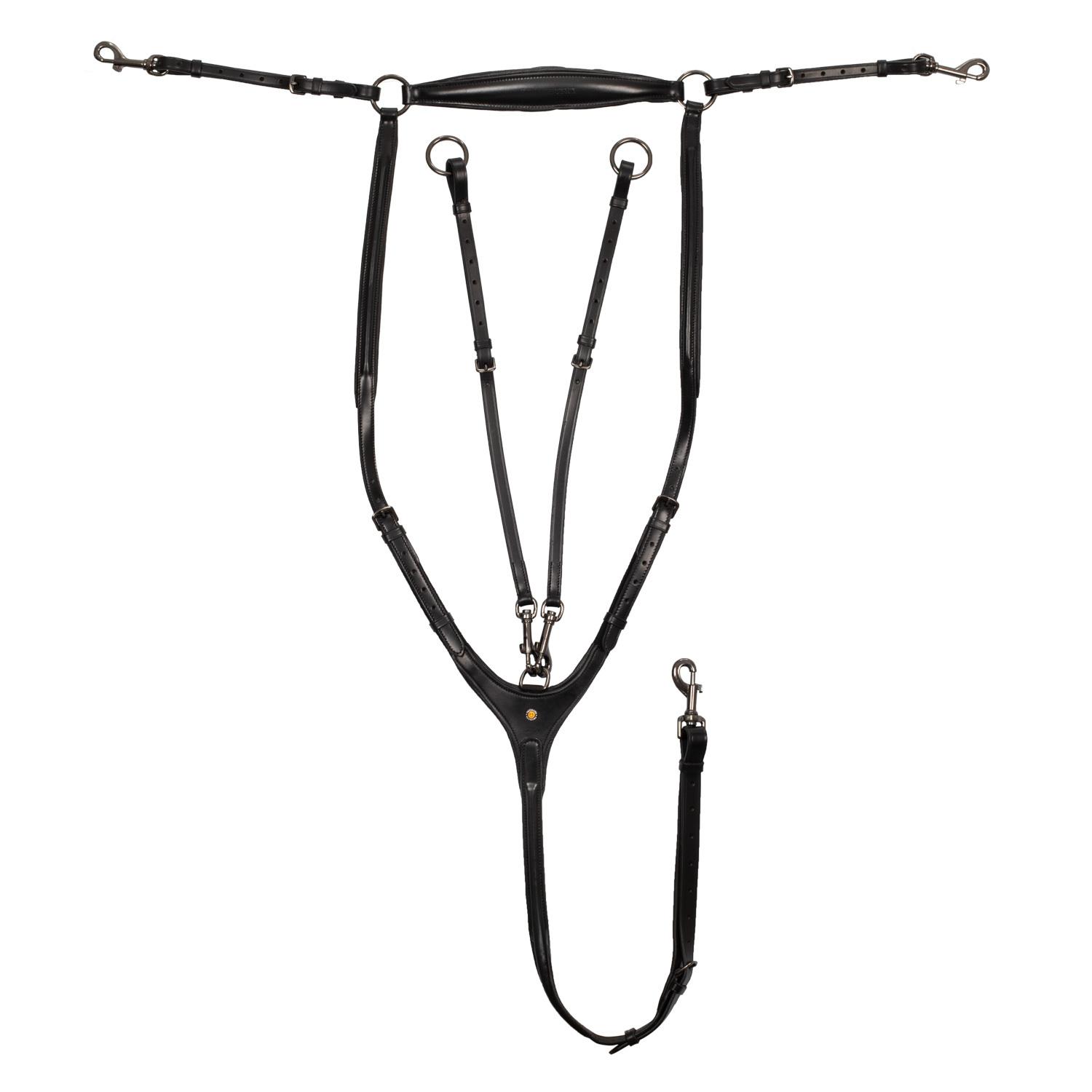 product/e/q/equestro_eth02000-black_noir_1.jpg