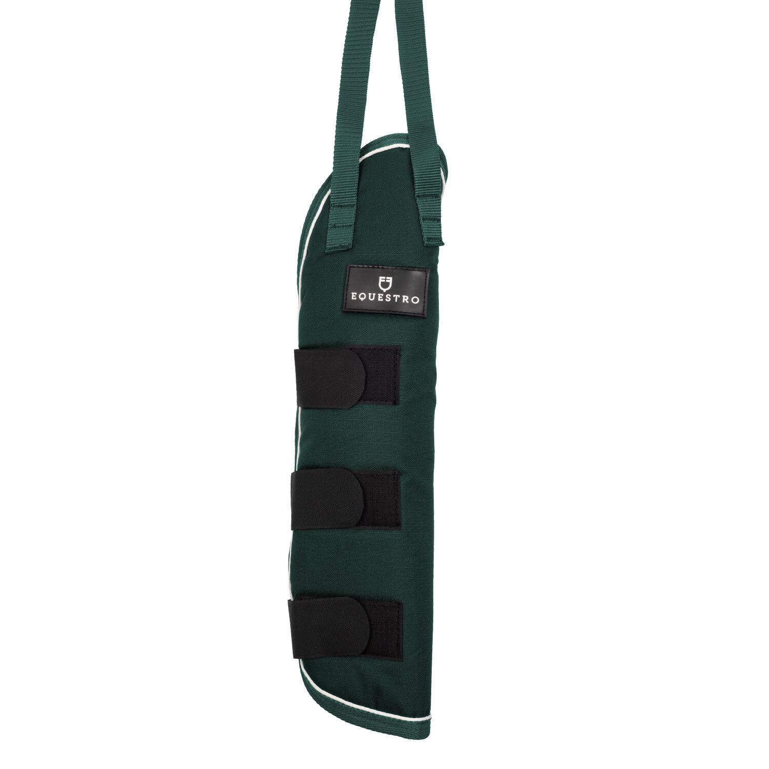 product/e/q/equestro_eth07038-green_green_1.jpg