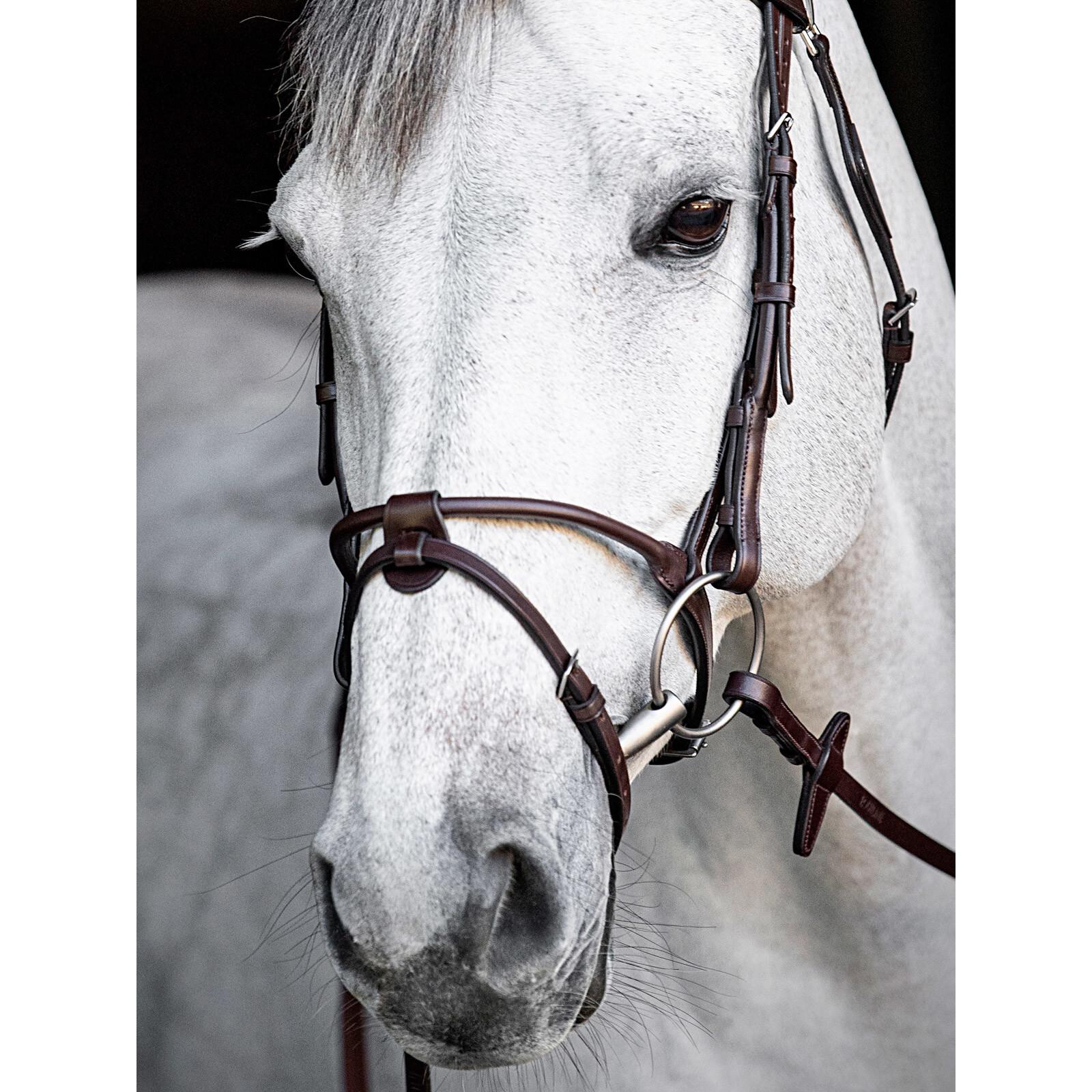 product/e/q/equiline_cp0001_mag4132213_2.jpg