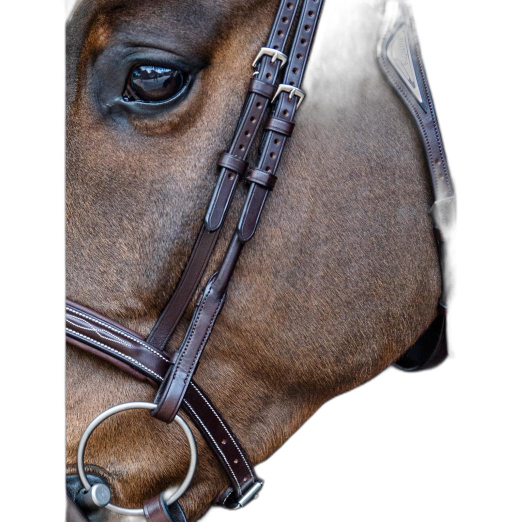 product/e/q/equiline_sc013pcp0002-012_1.jpg