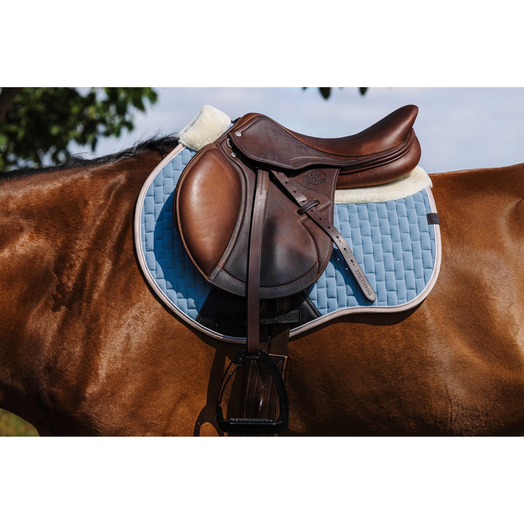 product/e/q/equitheme_204007012_bleu-ciel_3.jpg