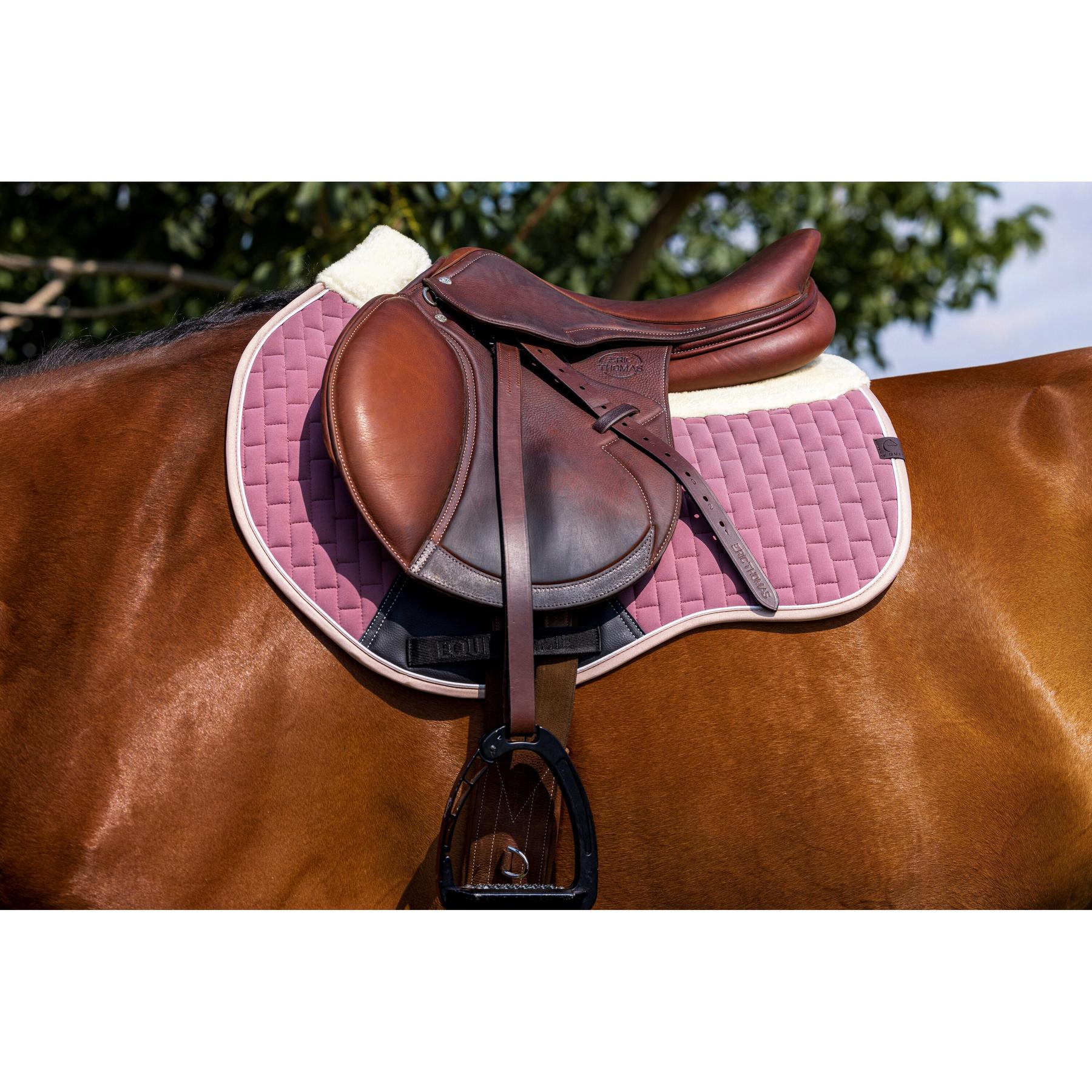 product/e/q/equitheme_204007013_rose_2.jpg