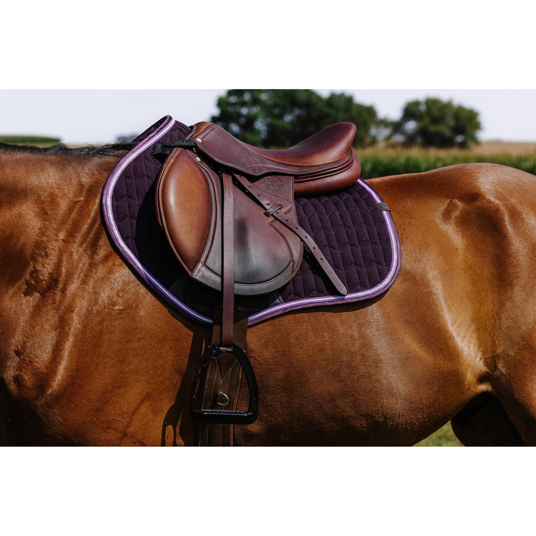 product/e/q/equitheme_204008015_violet_2.jpg