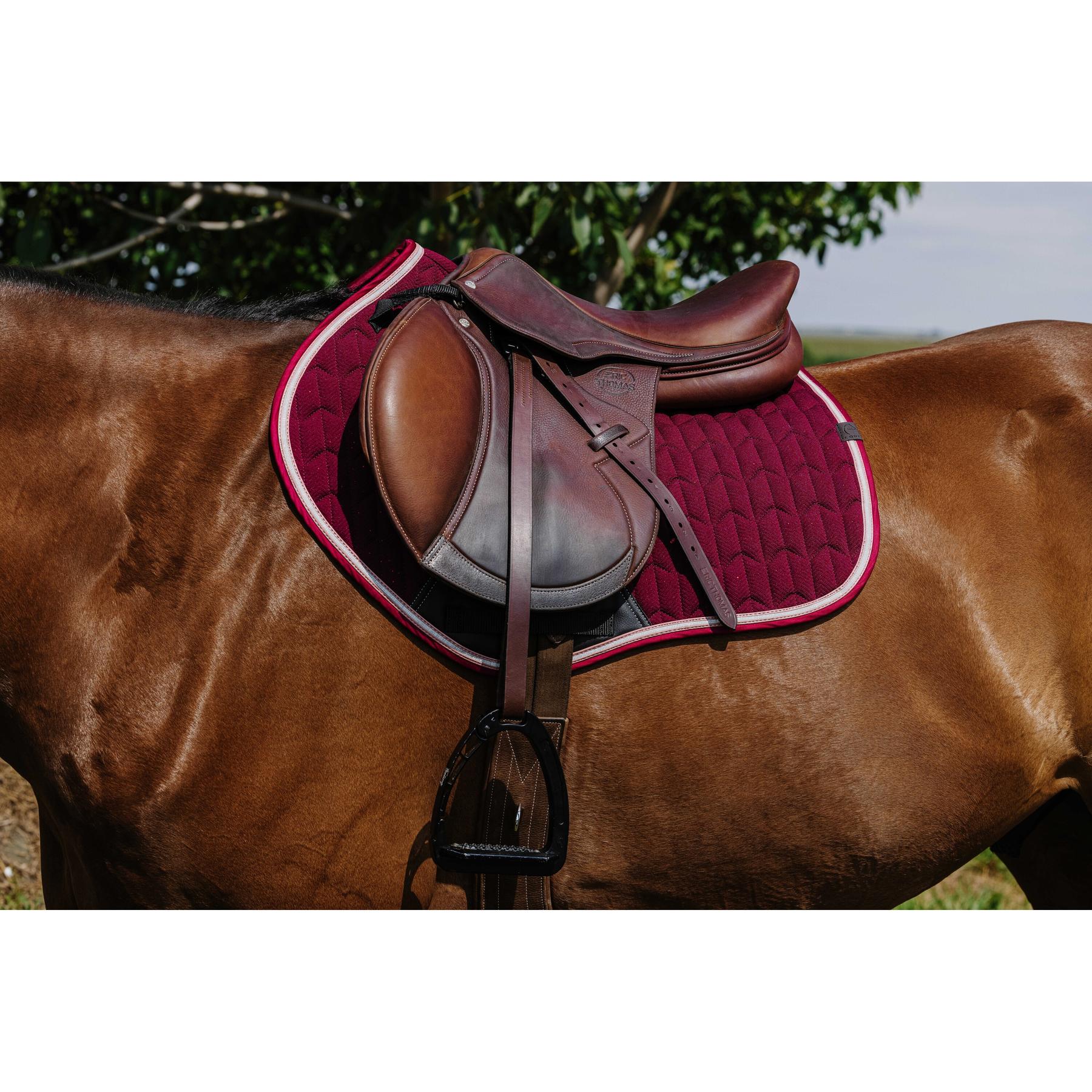 product/e/q/equitheme_204008033_bordeaux_2.jpg