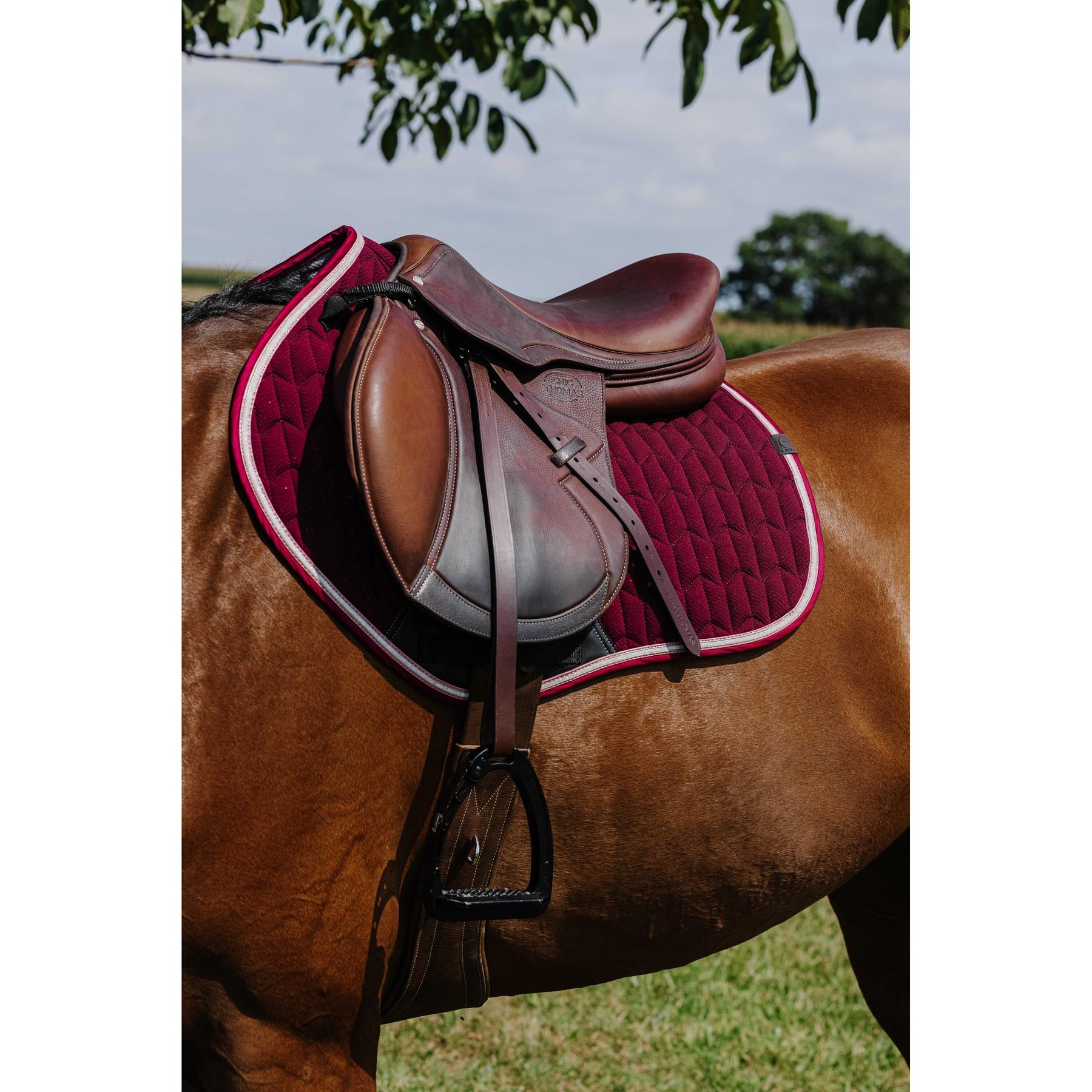 product/e/q/equitheme_204008033_bordeaux_3.jpg