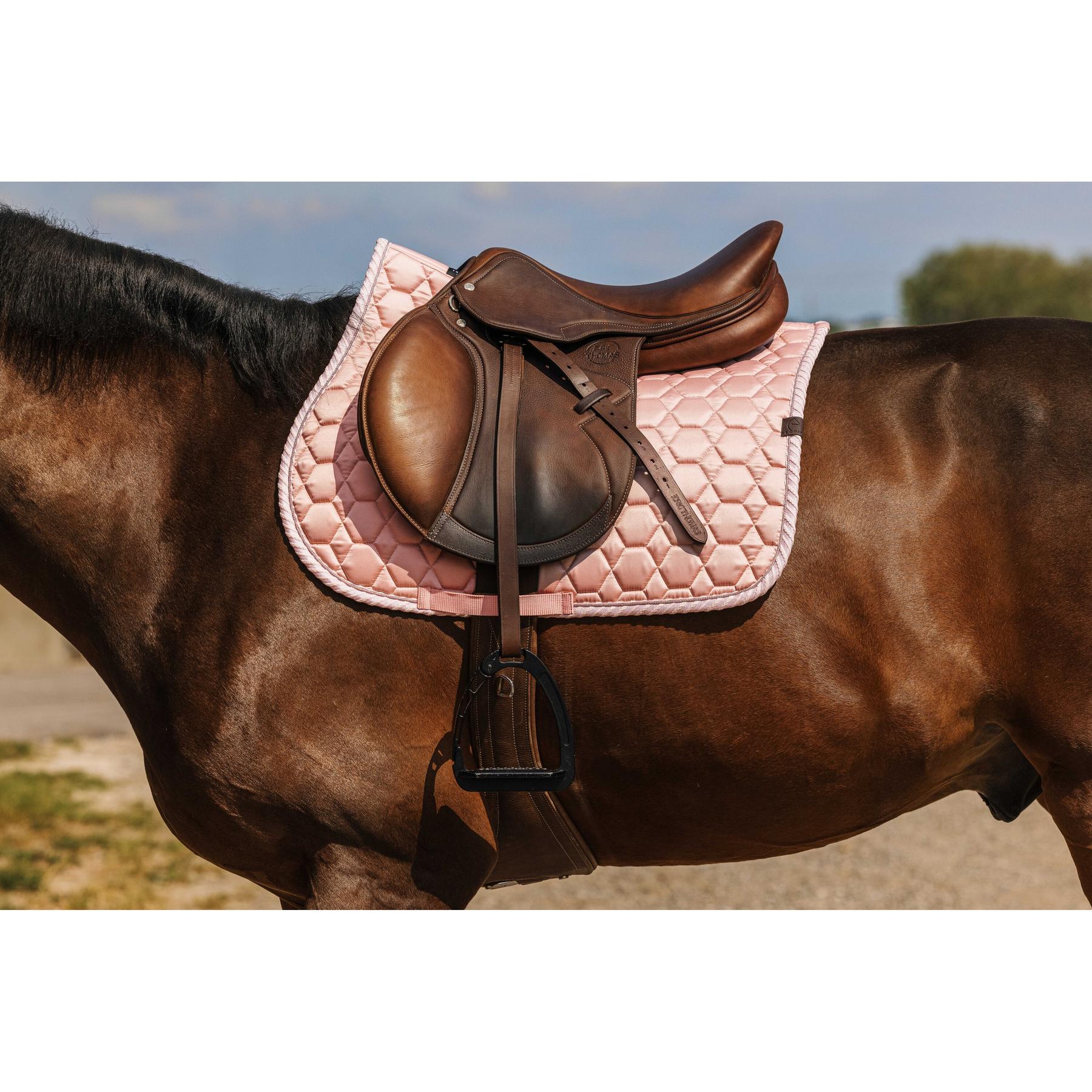 product/e/q/equitheme_204010013_rose_2.jpg