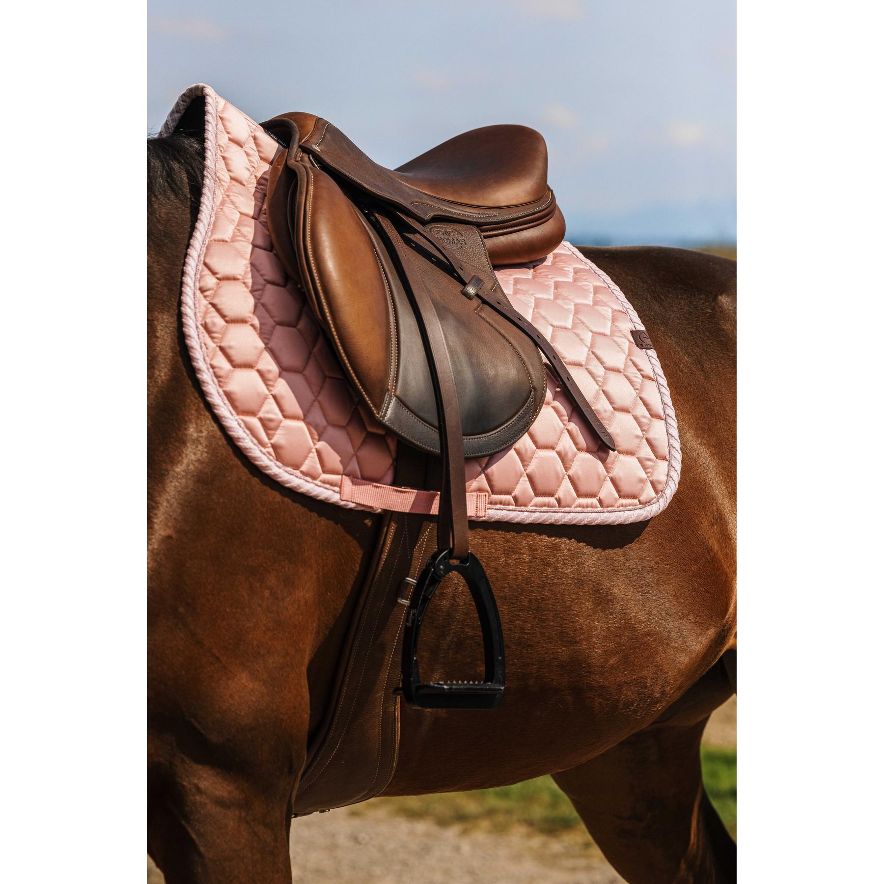 product/e/q/equitheme_204010013_rose_3.jpg