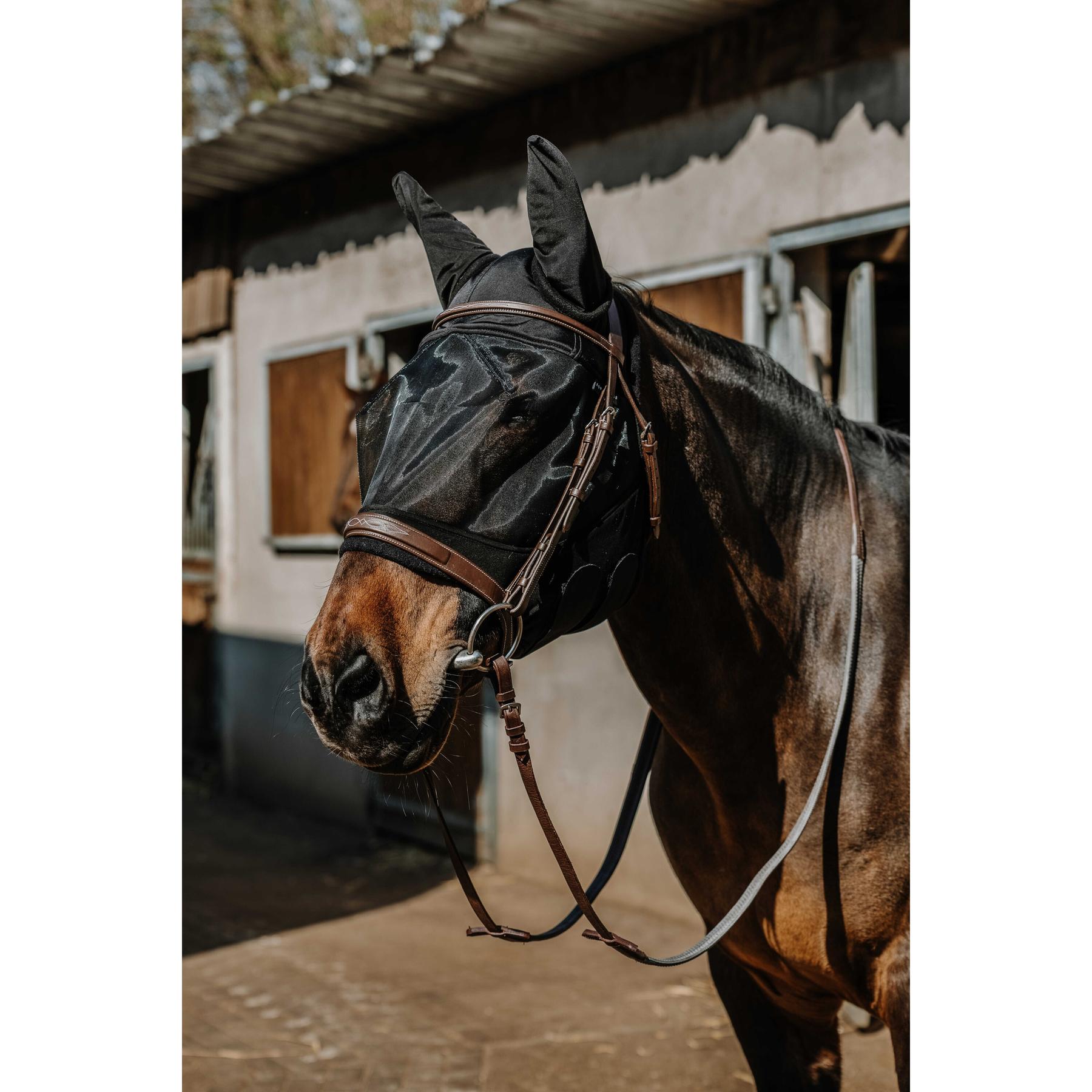 product/e/q/equitheme_306031101_argent_2.jpg