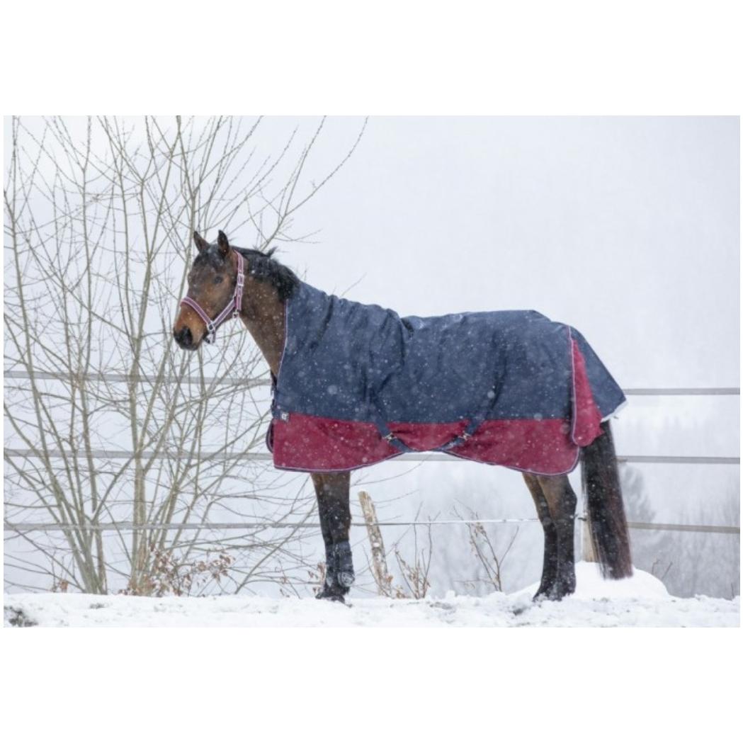 product/e/q/equitheme_4009334_mag4448835_1.jpg