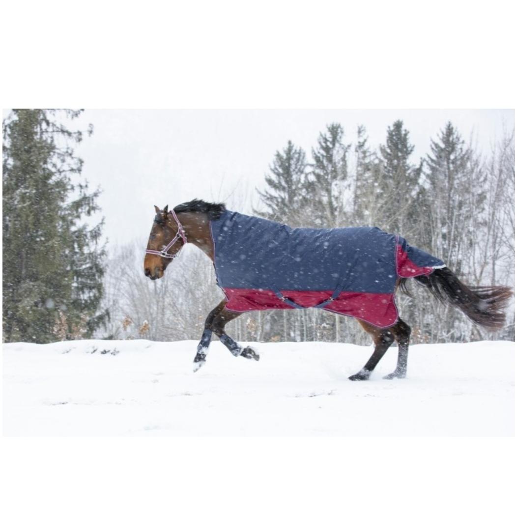 product/e/q/equitheme_4009334_mag4448835_2.jpg