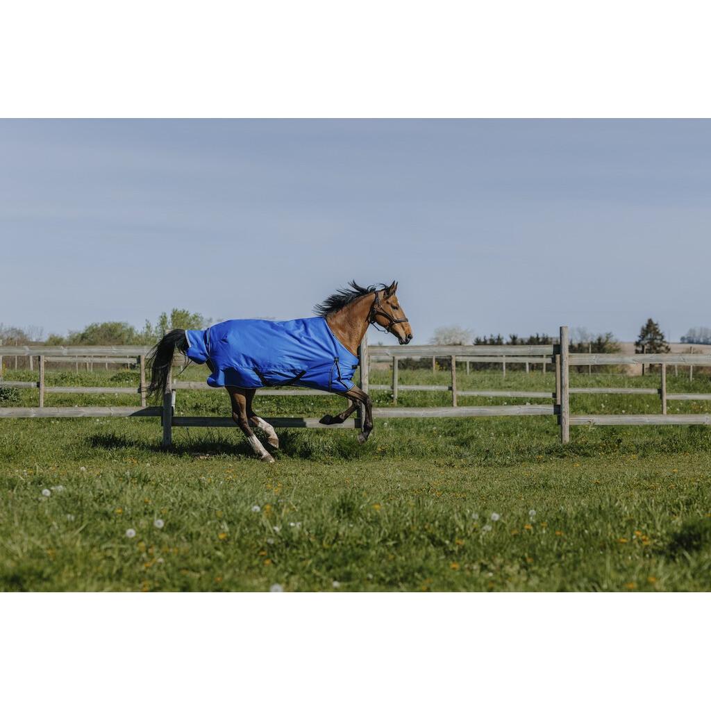 product/e/q/equitheme_400939449_bleu-roi_1.jpg