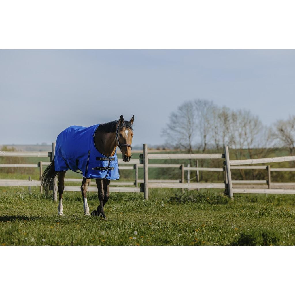 product/e/q/equitheme_400939449_bleu-roi_2.jpg