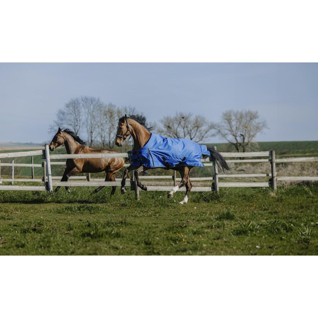 product/e/q/equitheme_400939449_bleu-roi_3.jpg