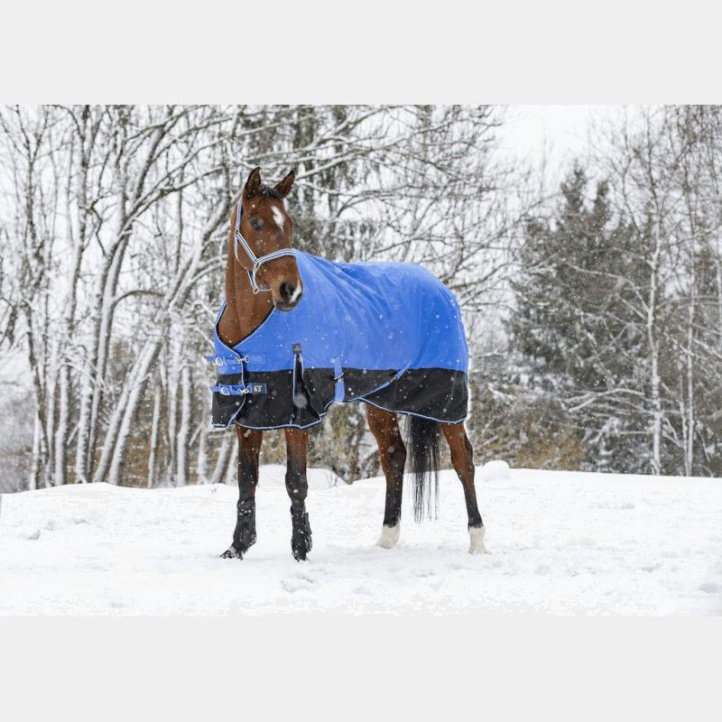 product/e/q/equitheme_4009398_mag4448961_3.jpg