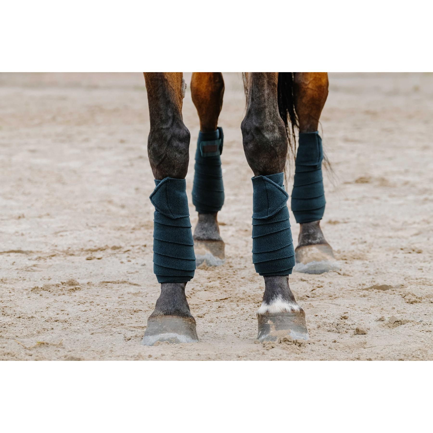 product/e/q/equitheme_540068009_vert-fonce_2.jpg