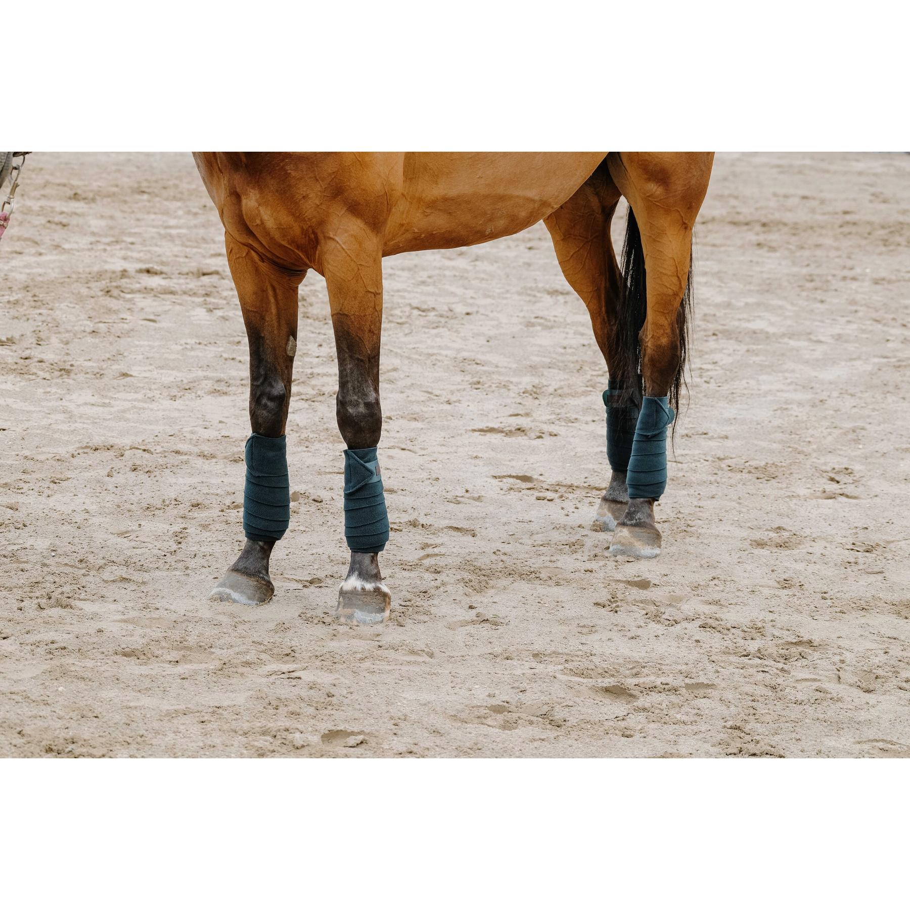 product/e/q/equitheme_540068009_vert-fonce_3.jpg
