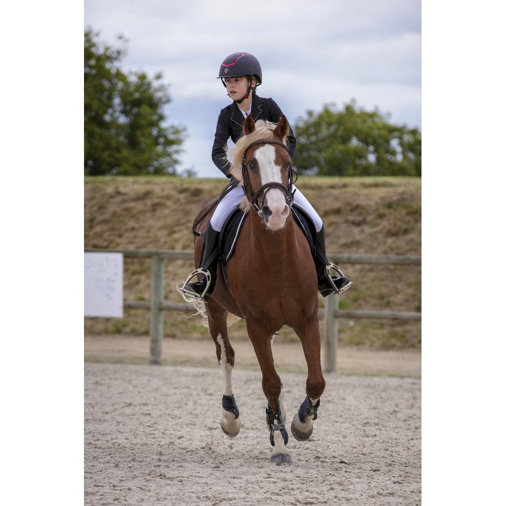 product/e/q/equitheme_988_480_212_ambi2.jpg