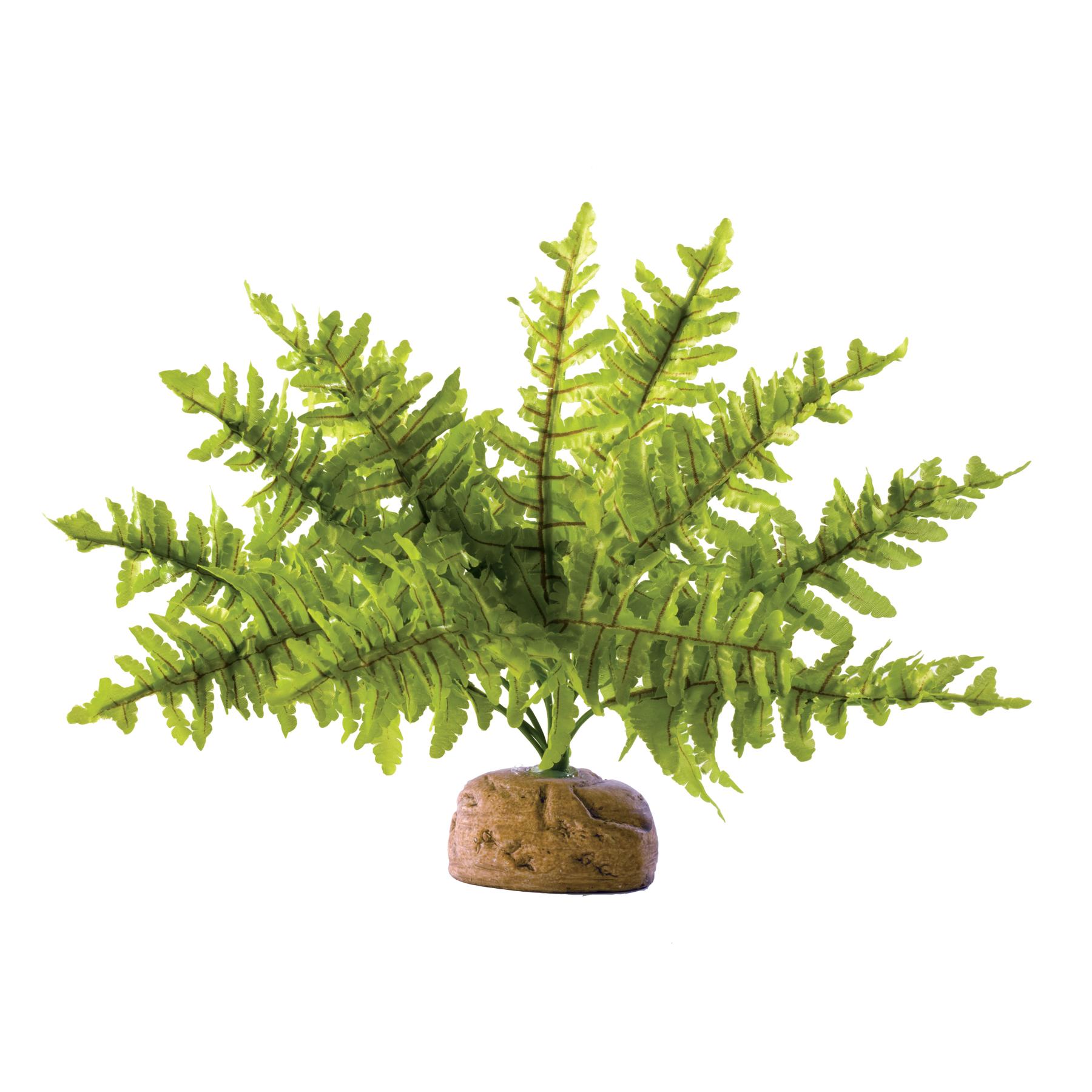 product/e/x/exo-terra_33-pt2990.jpg