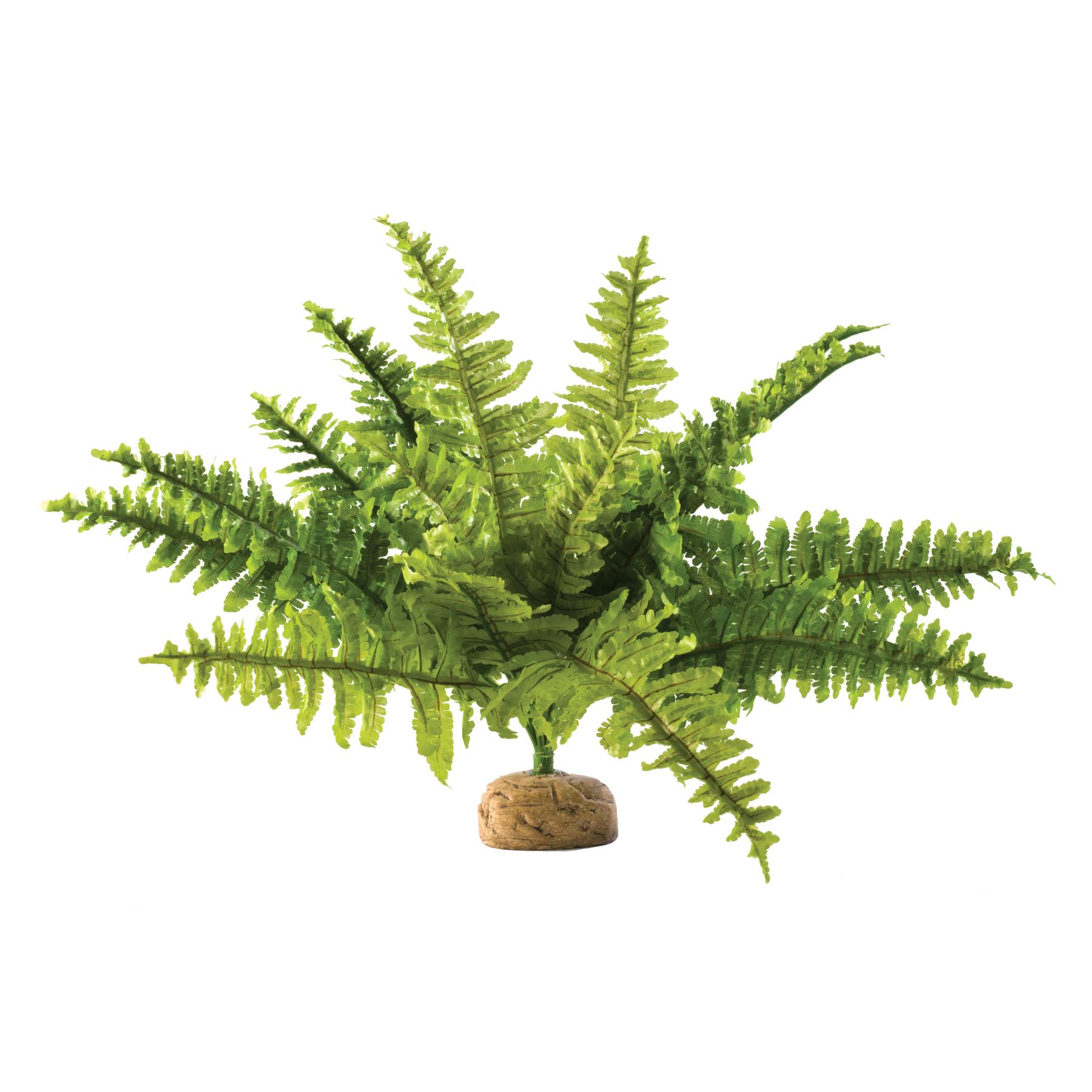product/e/x/exo-terra_33-pt2995.jpg