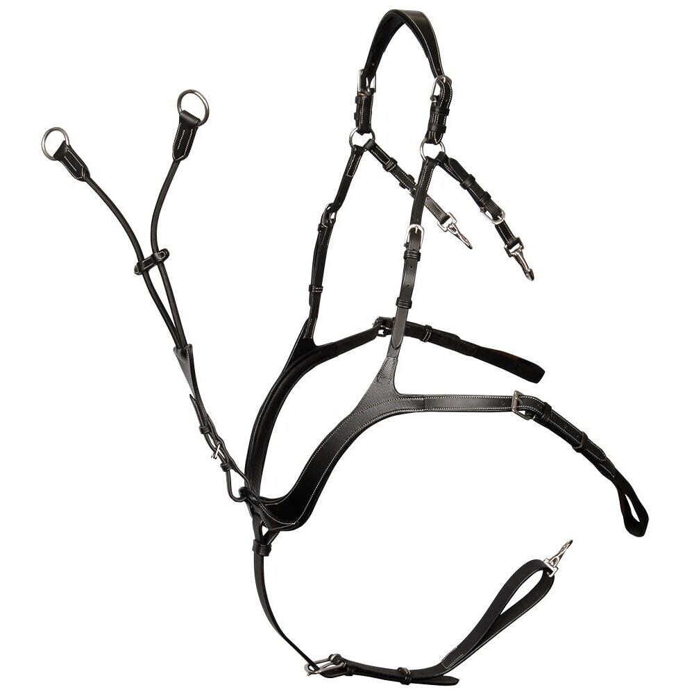 product/h/a/harry-s-horse_28300071-05_1_2.jpg