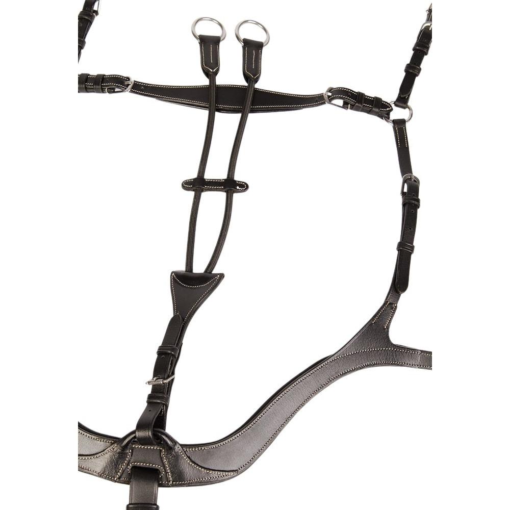 product/h/a/harry-s-horse_28300071-05_2_2.jpg
