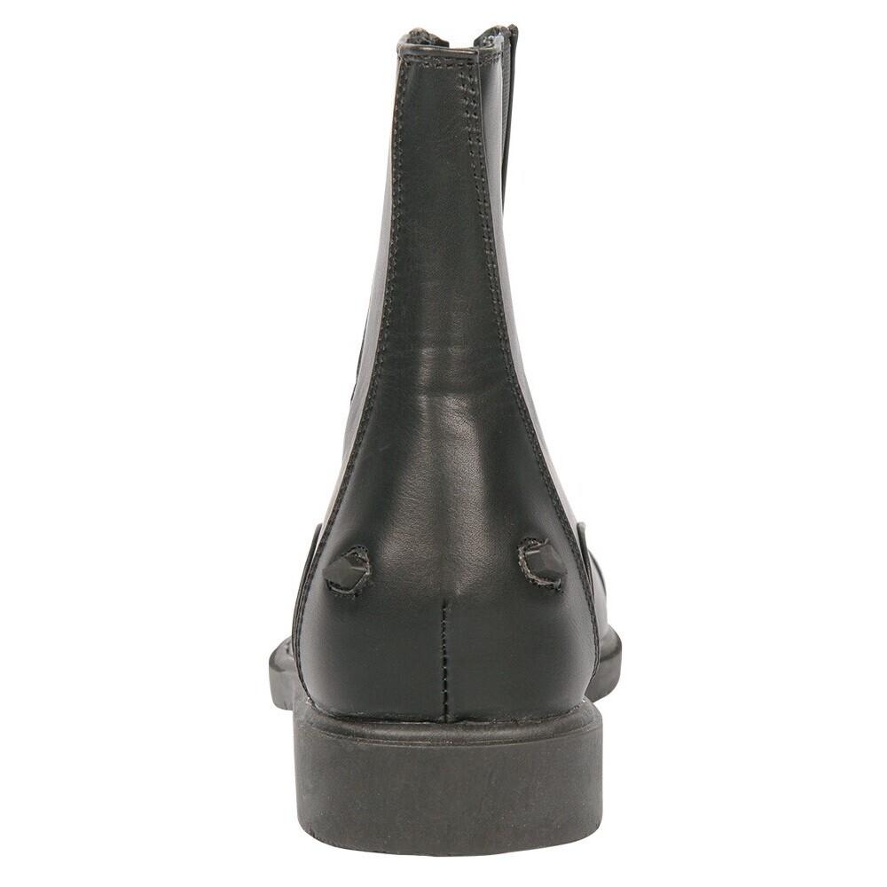 product/h/a/harry-s-horse_30100008_2_2.jpg