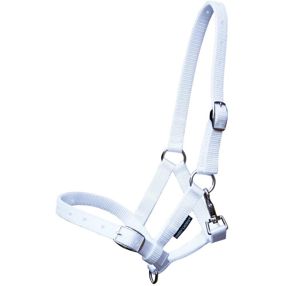 product/h/a/harry-s-horse_31000300-02.jpg