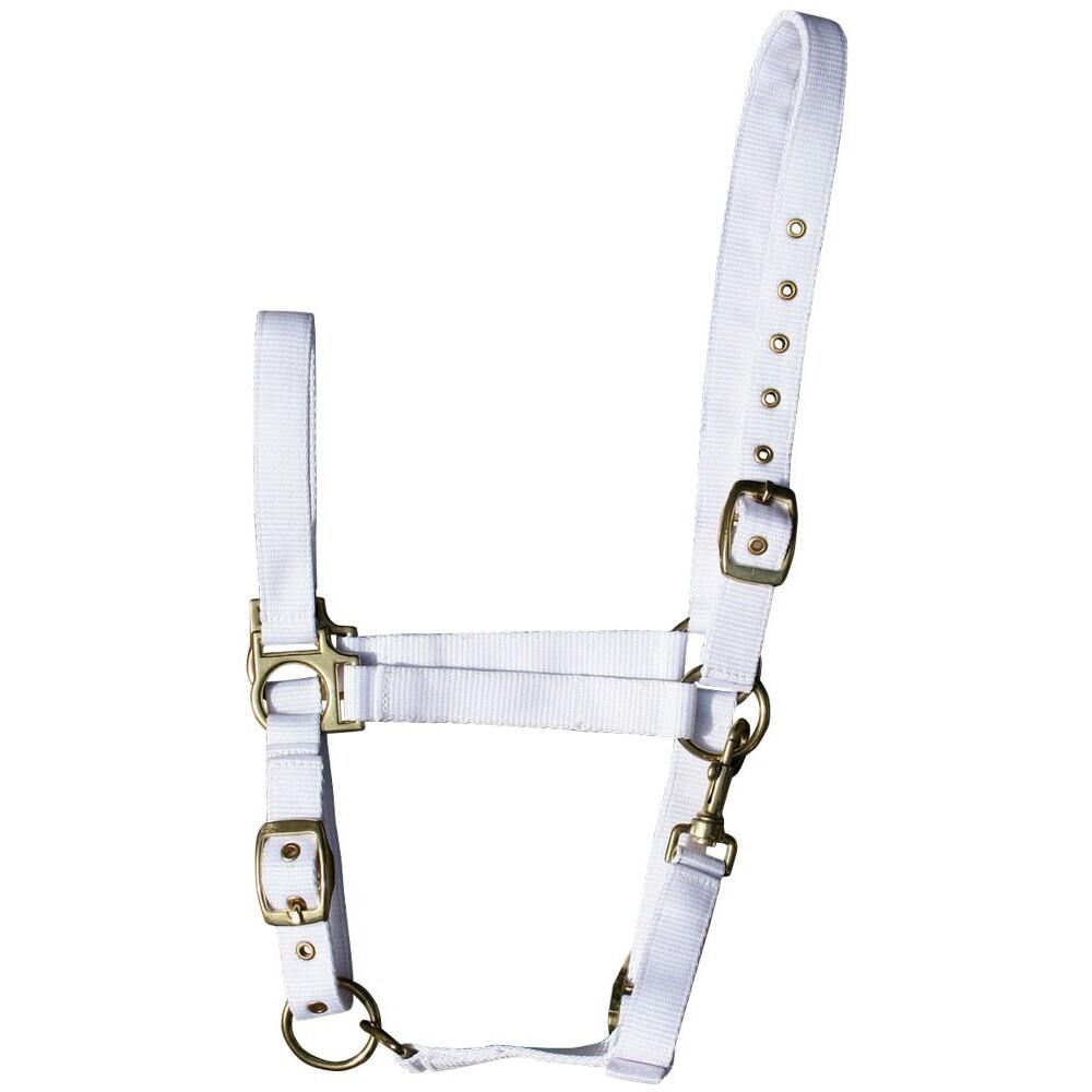 product/h/a/harry-s-horse_31000410-04.jpg