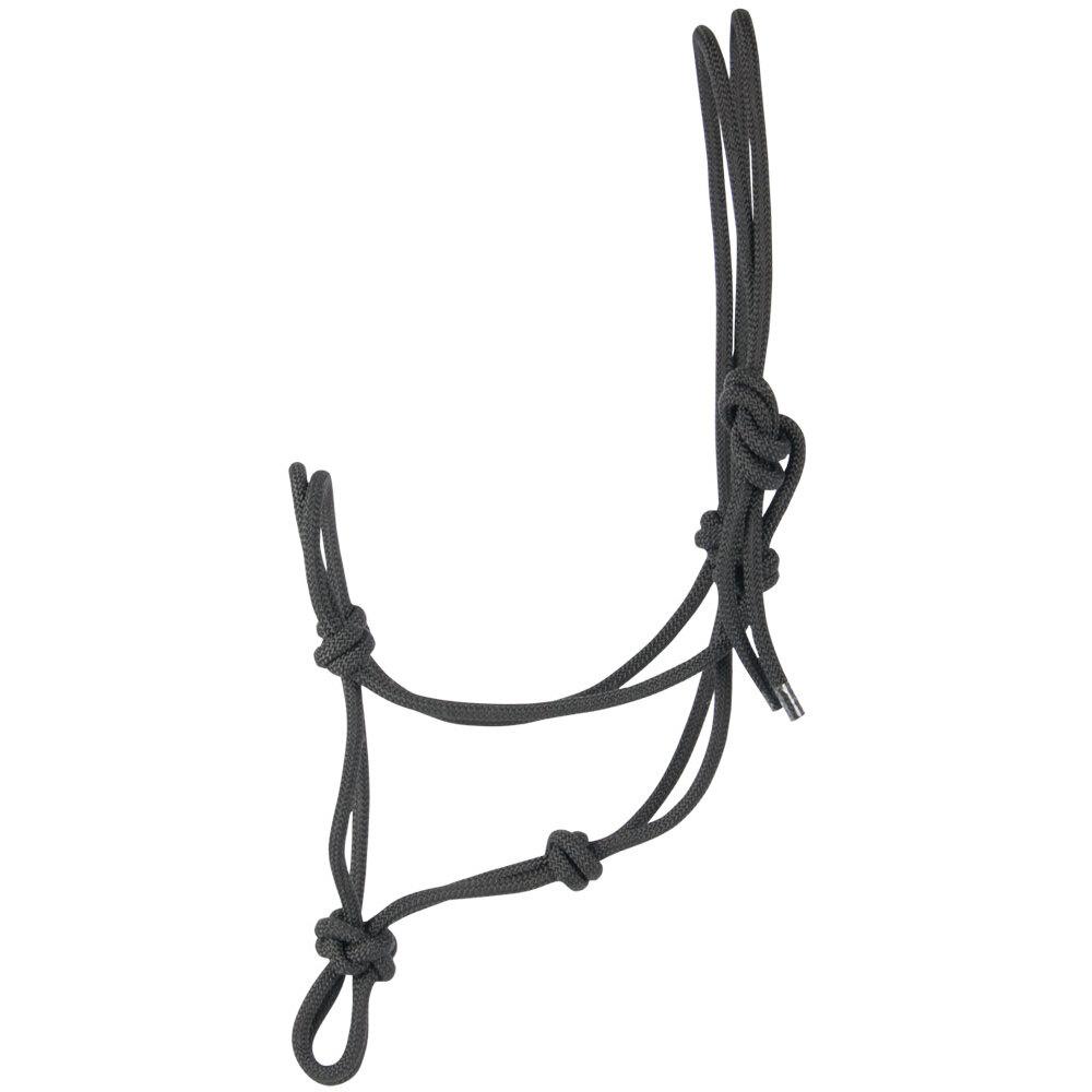 product/h/a/harry-s-horse_31000701-01_0.jpg