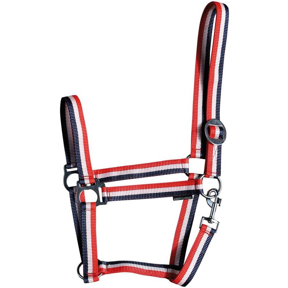 product/h/a/harry-s-horse_31000925-007.jpg