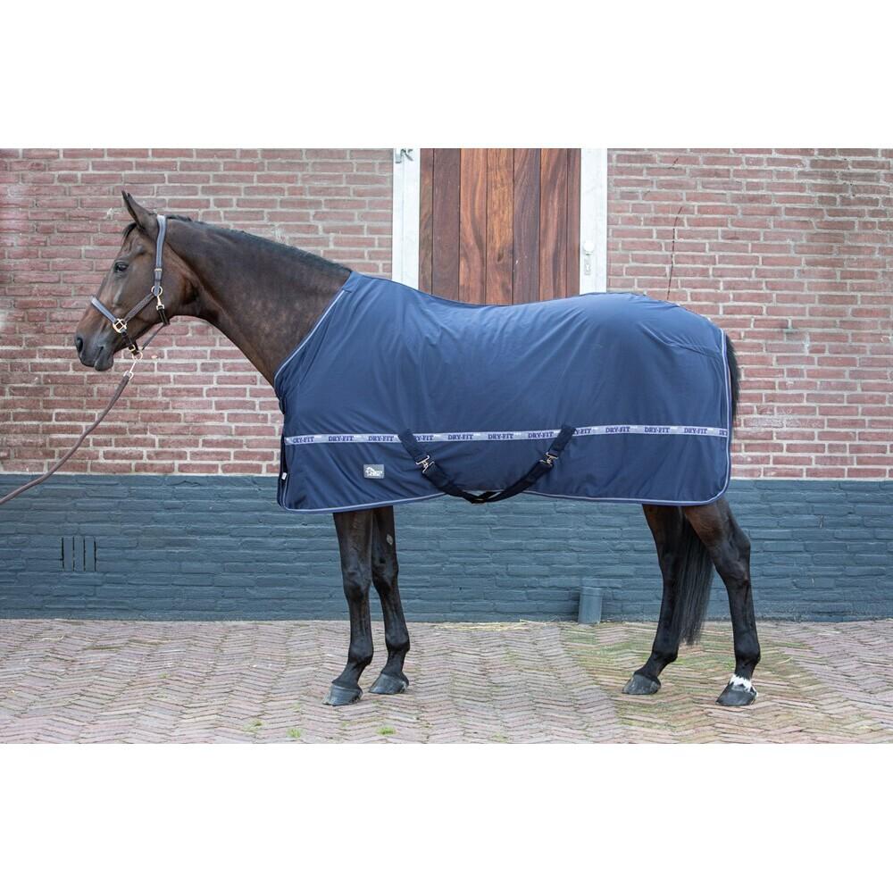 product/h/a/harry-s-horse_32200024-07_2_2.jpg