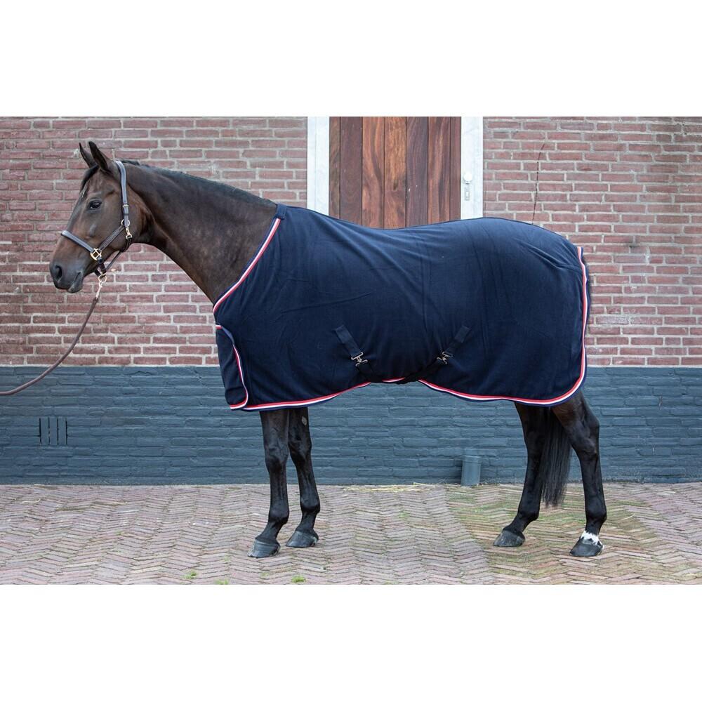 product/h/a/harry-s-horse_32200081-07_2_2.jpg