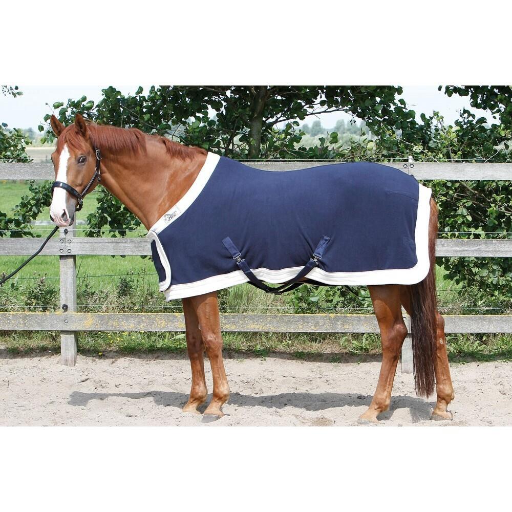 product/h/a/harry-s-horse_32200086-07.jpg