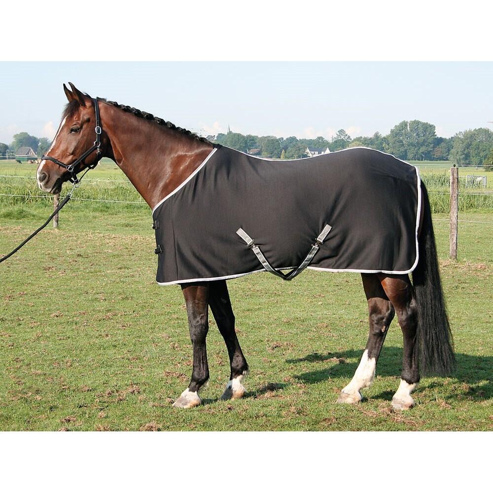 product/h/a/harry-s-horse_32200093-05.jpg