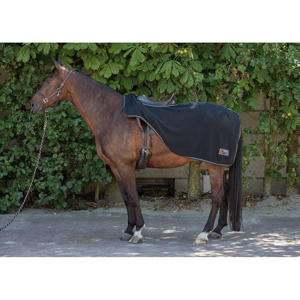 product/h/a/harry-s-horse_32200413-23.jpg