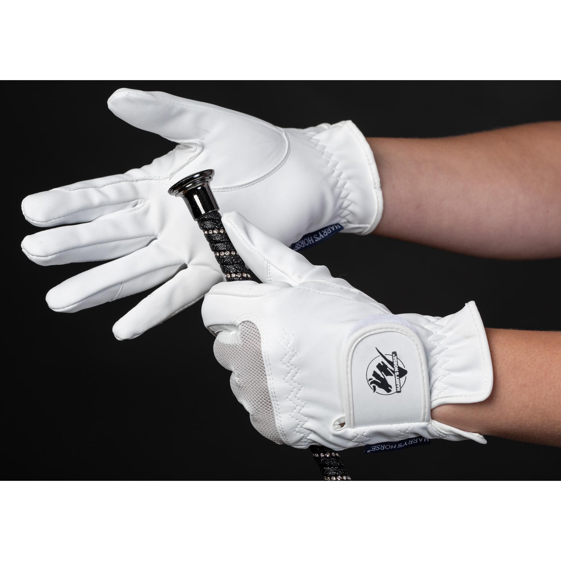 product/h/a/harry-s-horse_38800170-04_1.jpg