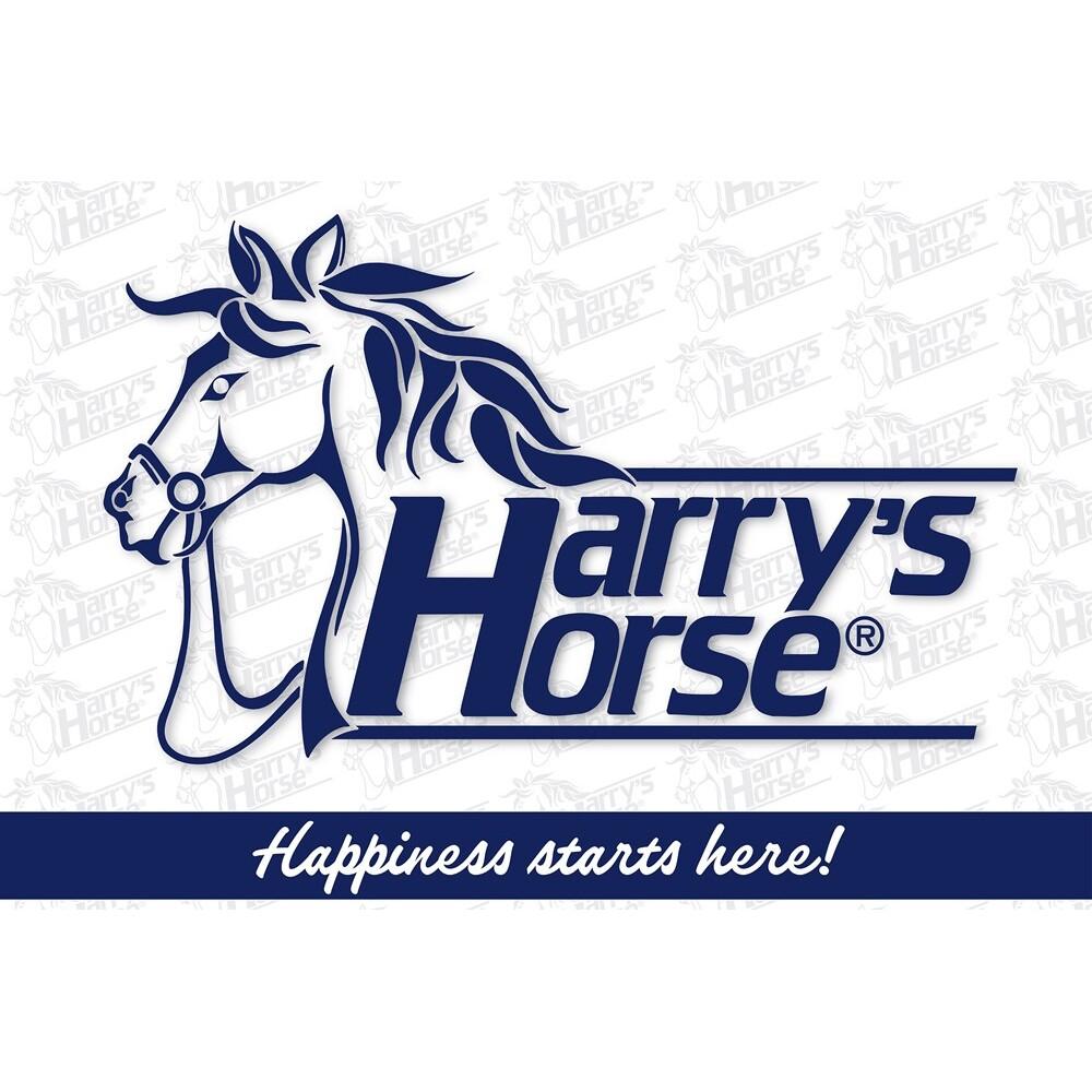 product/h/a/harry-s-horse_90000010_bleu_1.jpg