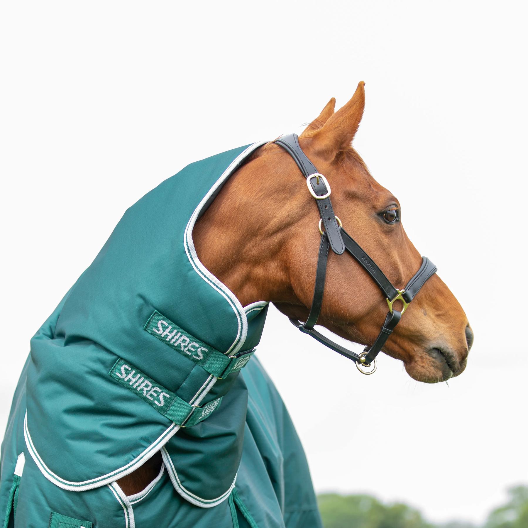 product/h/i/highlander-original_9397-green_green_3.jpg