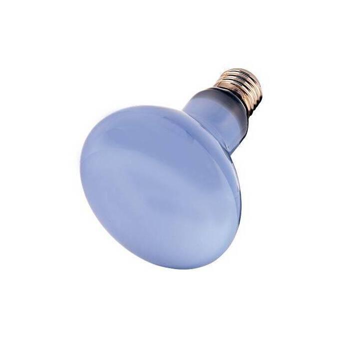 product/h/o/hobby_ho37552_blanc_1.jpg