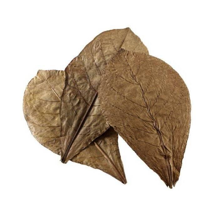 product/h/o/hobby_ho51105_beige_1.jpg