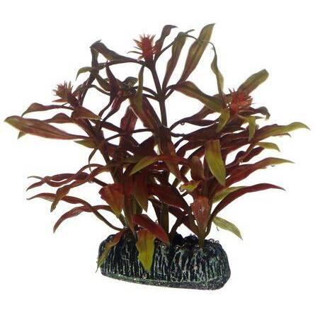 product/h/o/hobby_ho51569_rouge-vert_1.jpg
