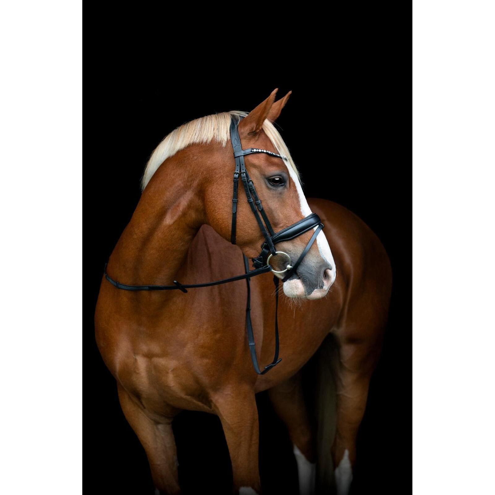 product/h/o/horseguard-506362001-black-2.jpg
