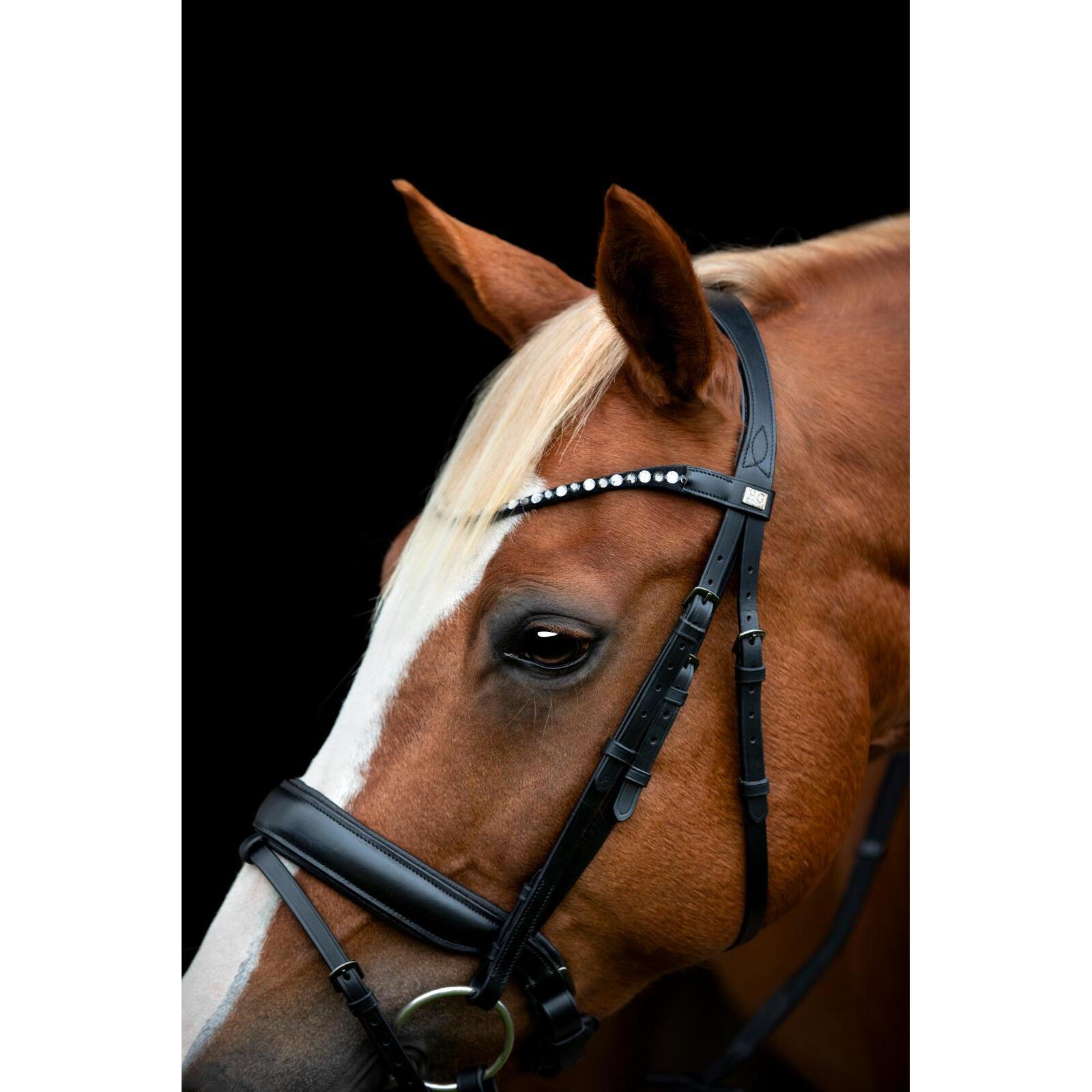product/h/o/horseguard-506362001-black-4.jpg