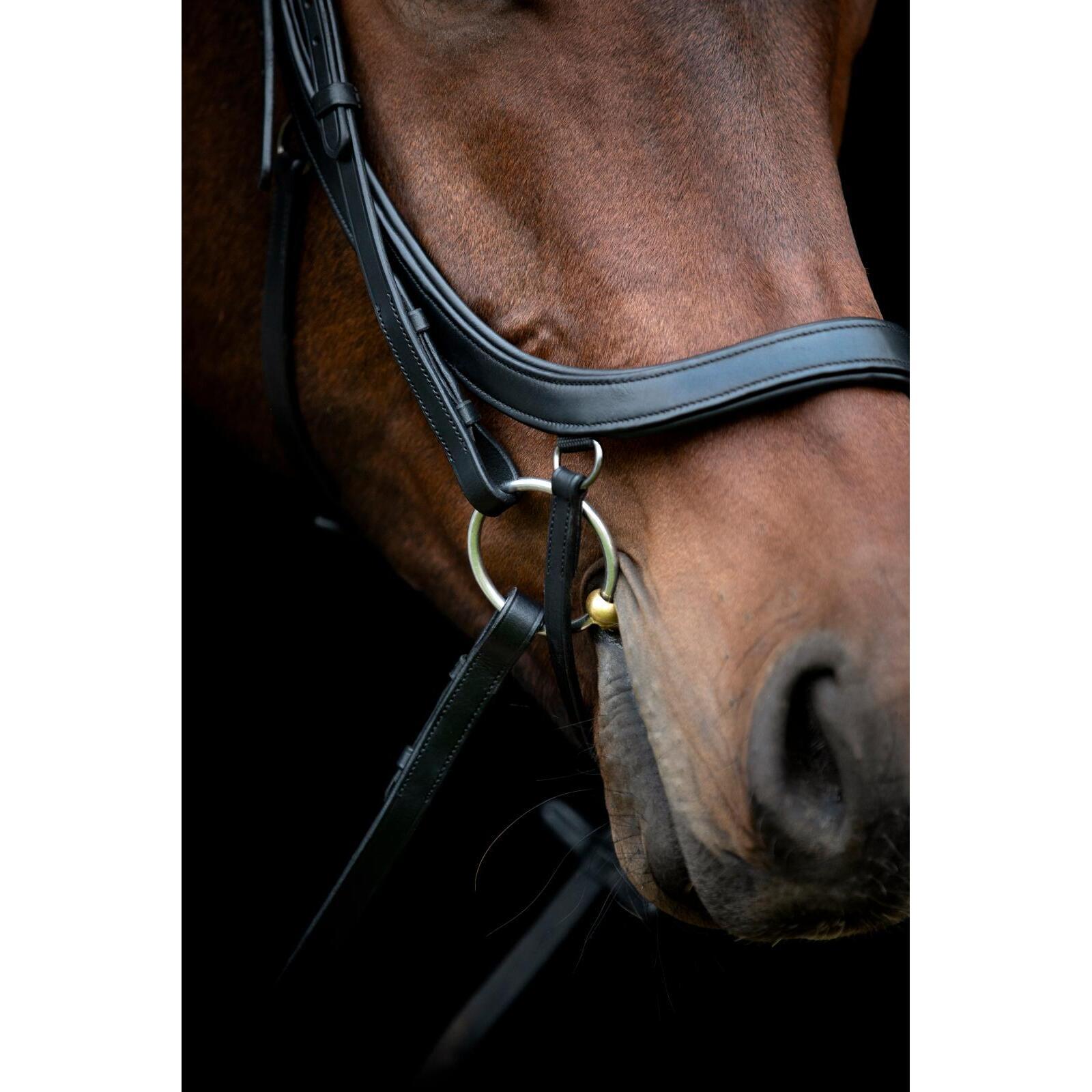 product/h/o/horseguard-506380201-black-3.jpg