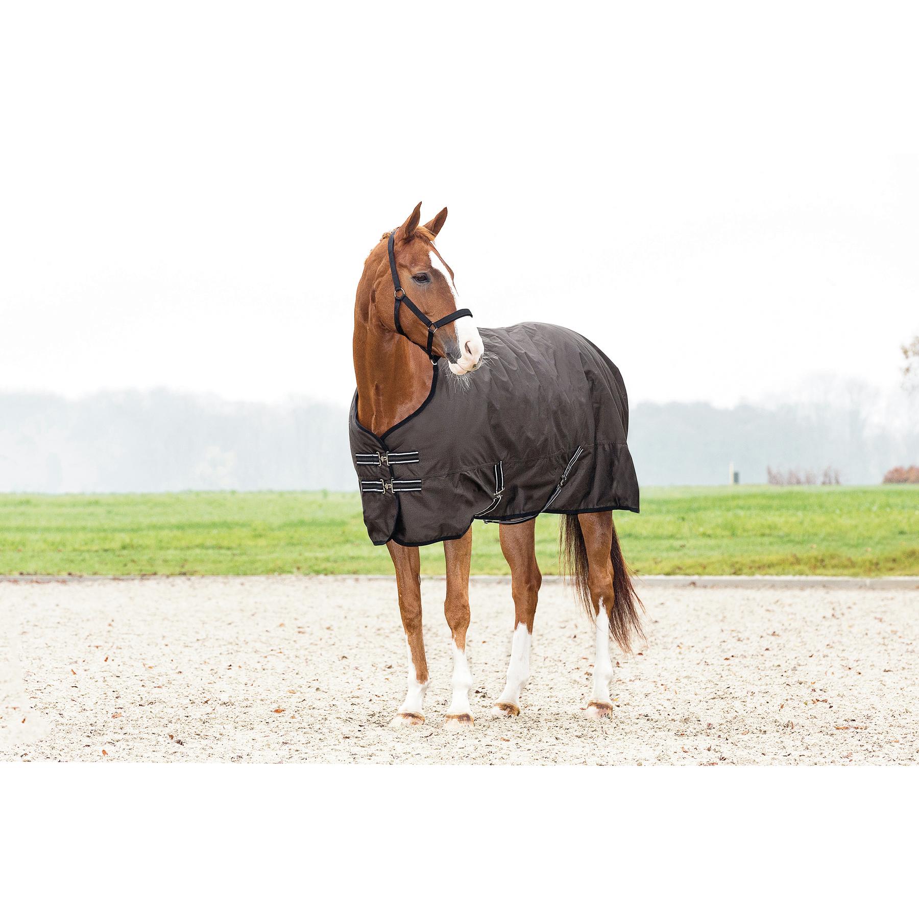 product/h/o/horseguard_27503_2.jpg