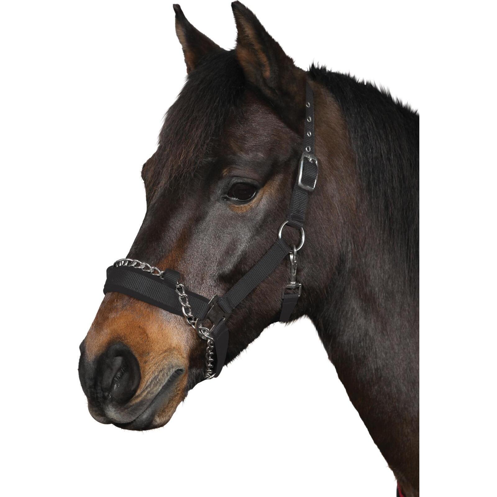 product/h/o/horseguard_36152_black_2.jpg