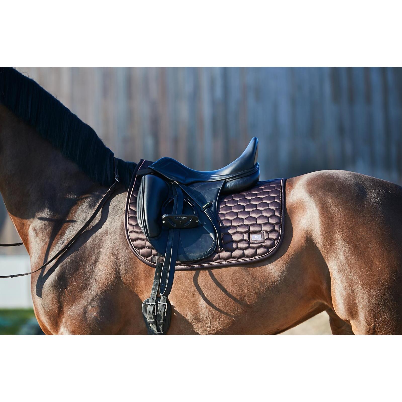 product/h/o/horseguard_503190602_brown_2.jpg