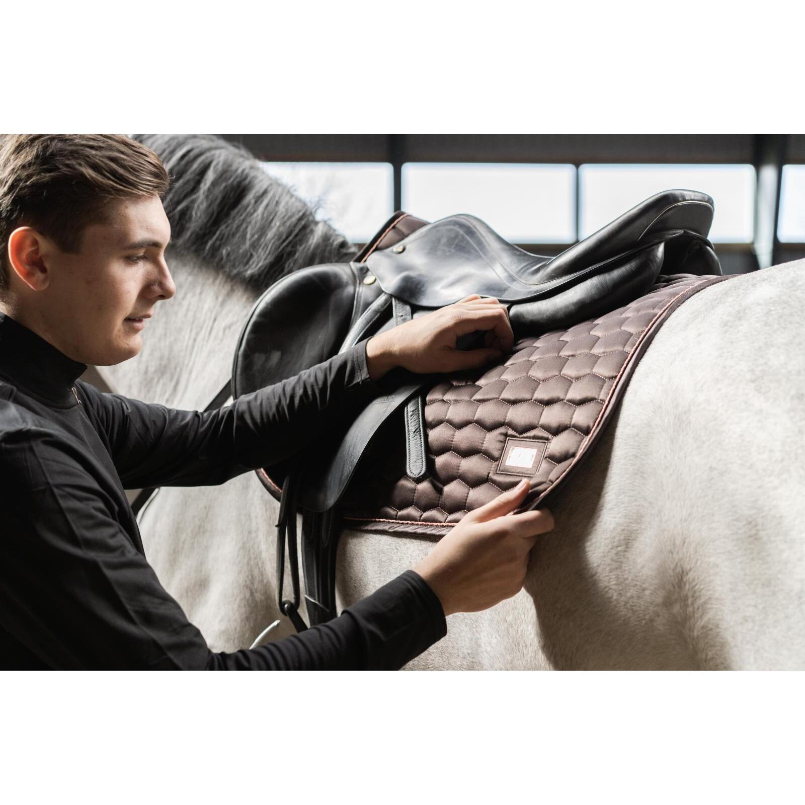 product/h/o/horseguard_503190602_brown_5.jpg