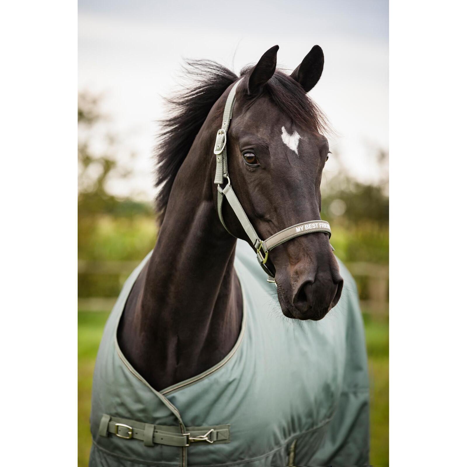product/h/o/horseguard_504220525_forest_4.jpg